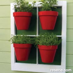 Potted plant display