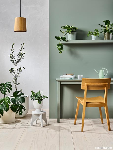 Bring nature indoors with house plants